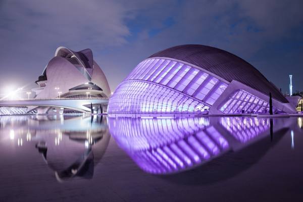 Photograph Antonio Aliaga Ibarra Violet on One Eyeland
